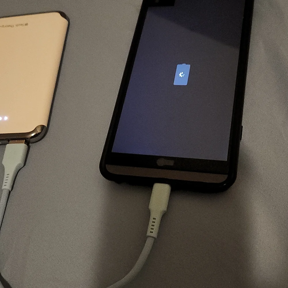 USB TYPE C CABLE 6 FEET
